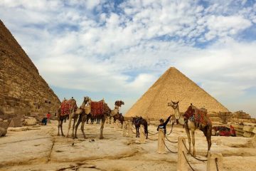 All inclusive trip Giza Pyramids,Egyptian Museum,Sphinx,Bazar,Camel Ride,Lunch