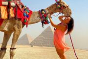 Private All Inclusive: Giza Pyramids, Sphinx, Memphis, Saqqara, Lunch & Camels