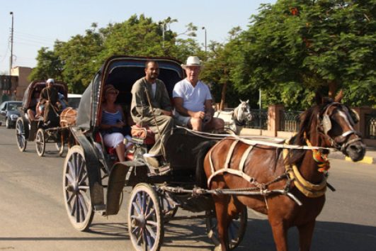 Luxor City tour by Horse Carriage