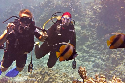 Private Scuba Diving Trip from Safaga Port