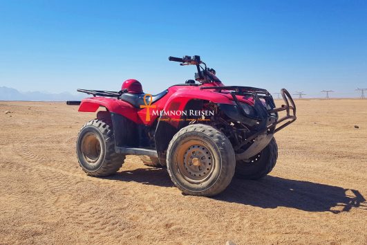 Quad biking with Camel ride and Bedouin dinner