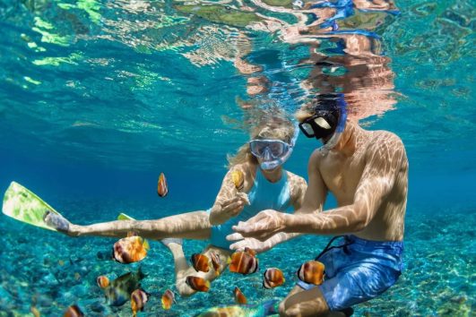 Snorkeling at Mahmya Island