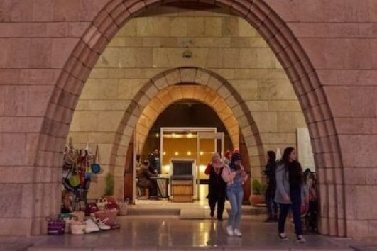 Private day tour to The Nubian Museum