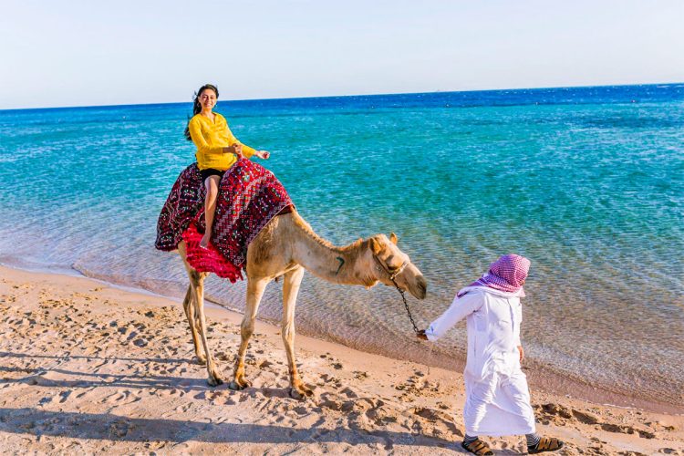 summer in egypt