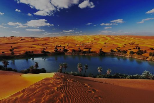 Tour To Fayoum Oasis From Cairo