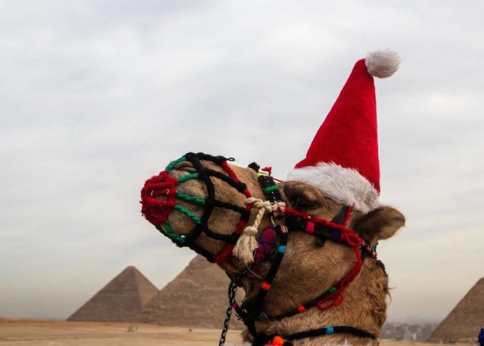 Christmas in Egypt